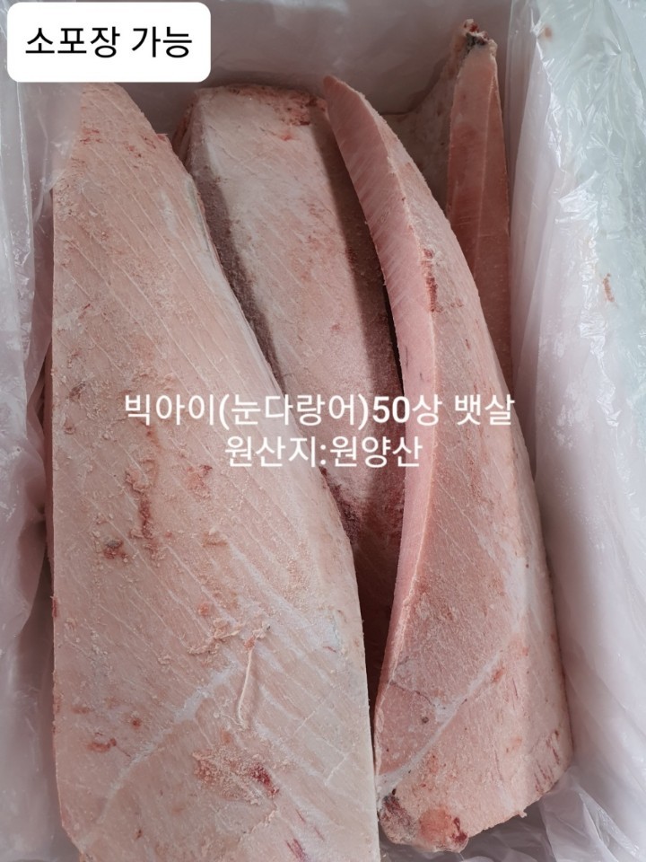 눈다랑어 50상 뱃살 - 원양산, 소포장 가능